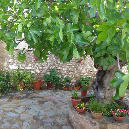 Apartamentos Rurales Tia Maria Mata de Alcántara Buitenkant foto