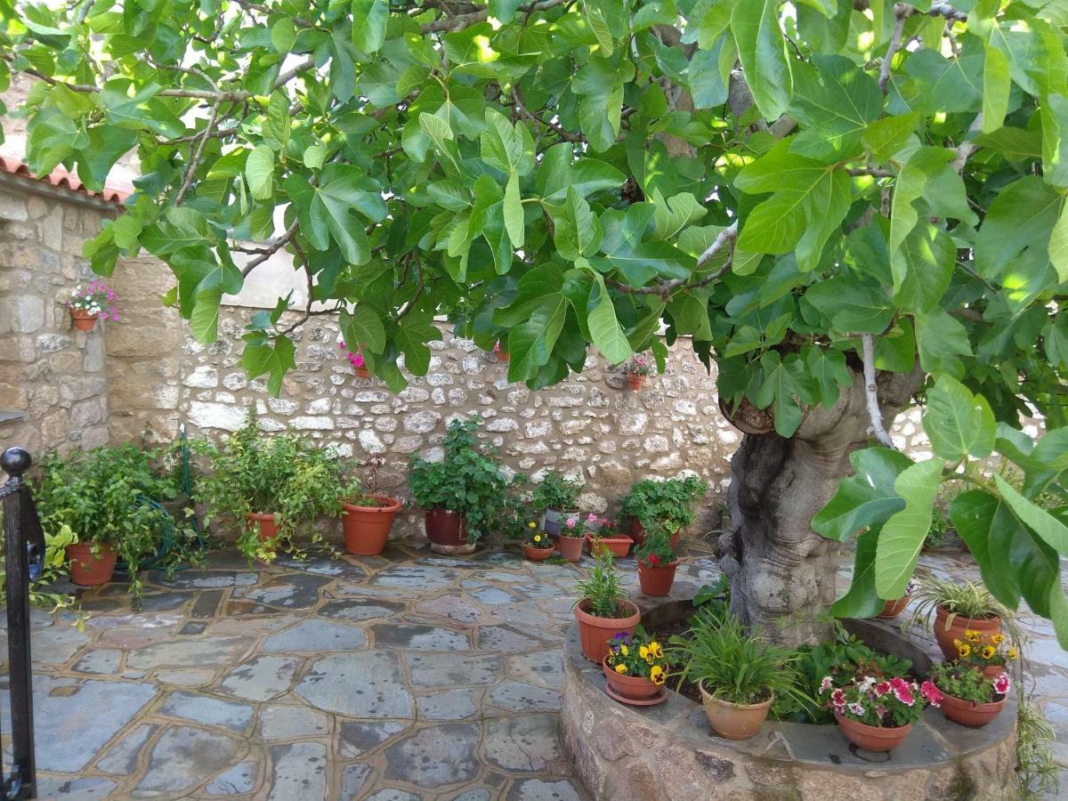 Apartamentos Rurales Tia Maria Mata de Alcántara Buitenkant foto