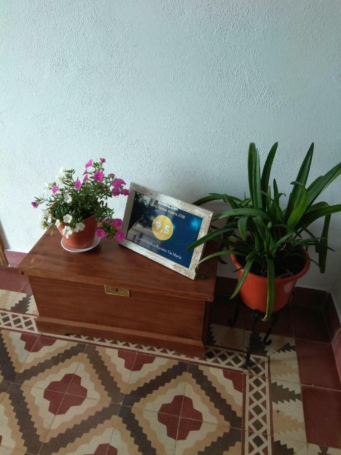 Apartamentos Rurales Tia Maria Mata de Alcántara Buitenkant foto